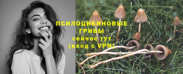 мескалин Михайловка