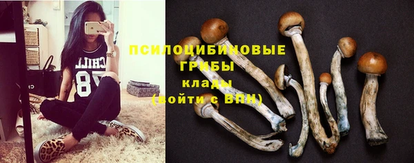 мяу мяу мука Белоозёрский