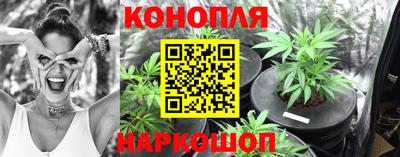 сатива Балахна