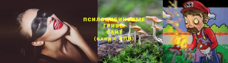 Псилоцибиновые грибы мицелий Белорецк