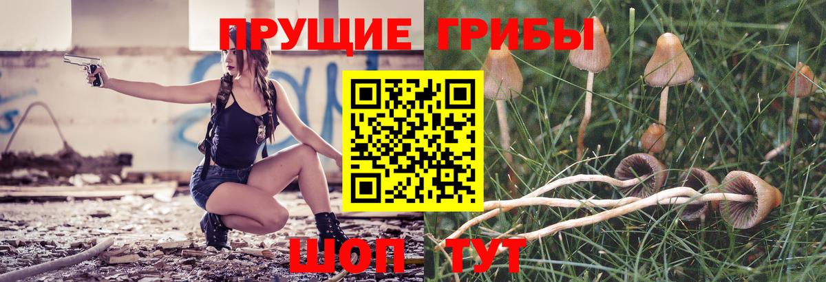 Галлюциногенные грибы GOLDEN TEACHER Белорецк
